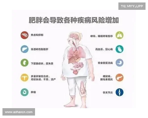 BMI与健康风险的关系探讨：如何通过合理控制体重改善身体状况